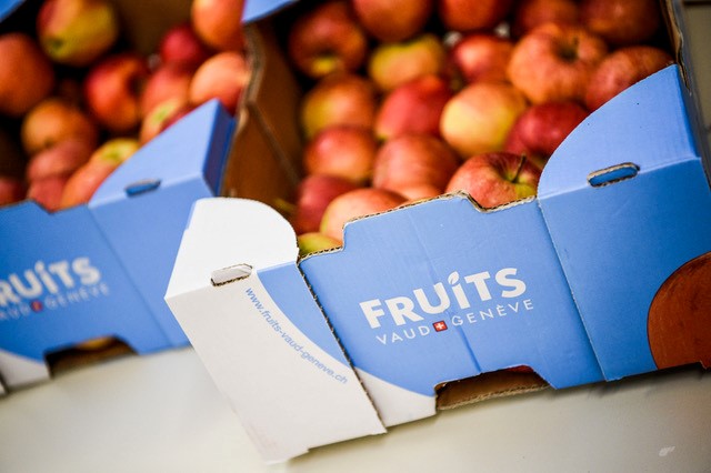 Carton avec branding UFL